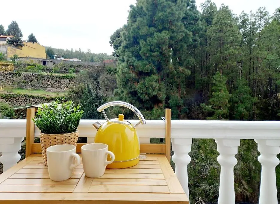 איקוד דה לוס וינוס Country House, Paradise Holiday Homes ספרד